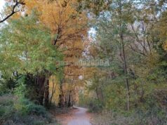 Valorizzazione del Percorso Natura del Fiume Secchia: approvato all’unanimità l’OdG presentato da PD e M5S sassolesi