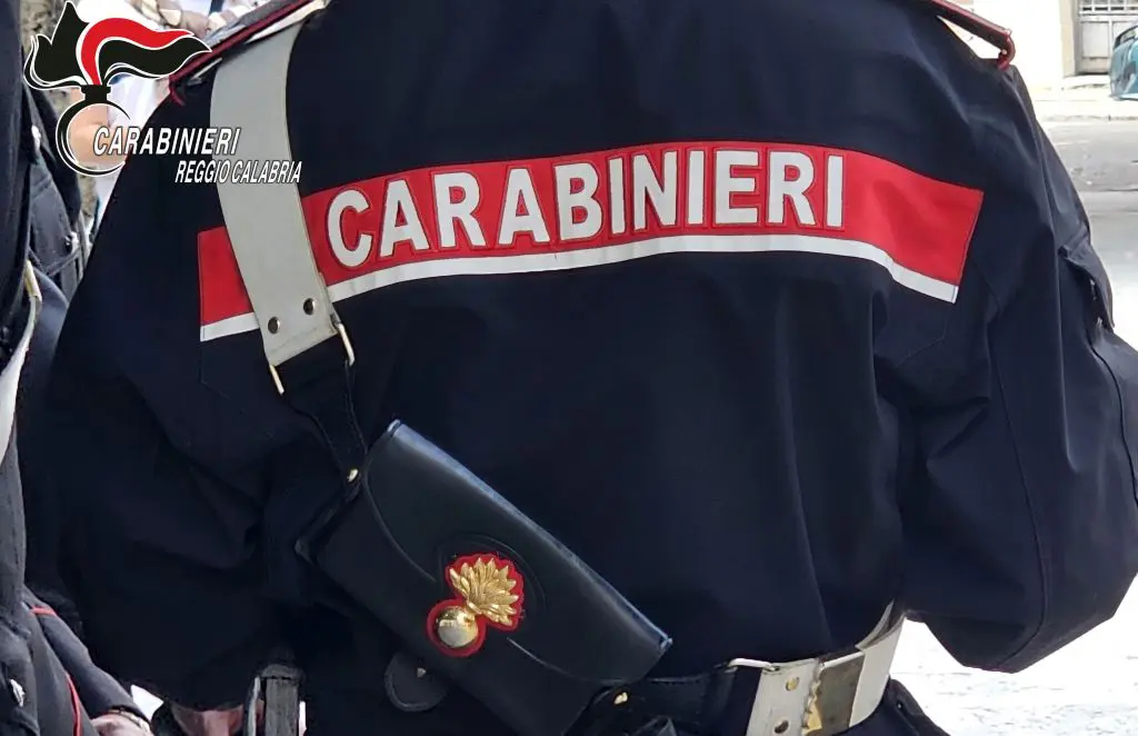Carabinieri scoprono 80 Kg di droga e 15 Kg esplosivi nel reggino Carabinieri scoprono 80 Kg di droga e 15 Kg esplosivi nel reggino