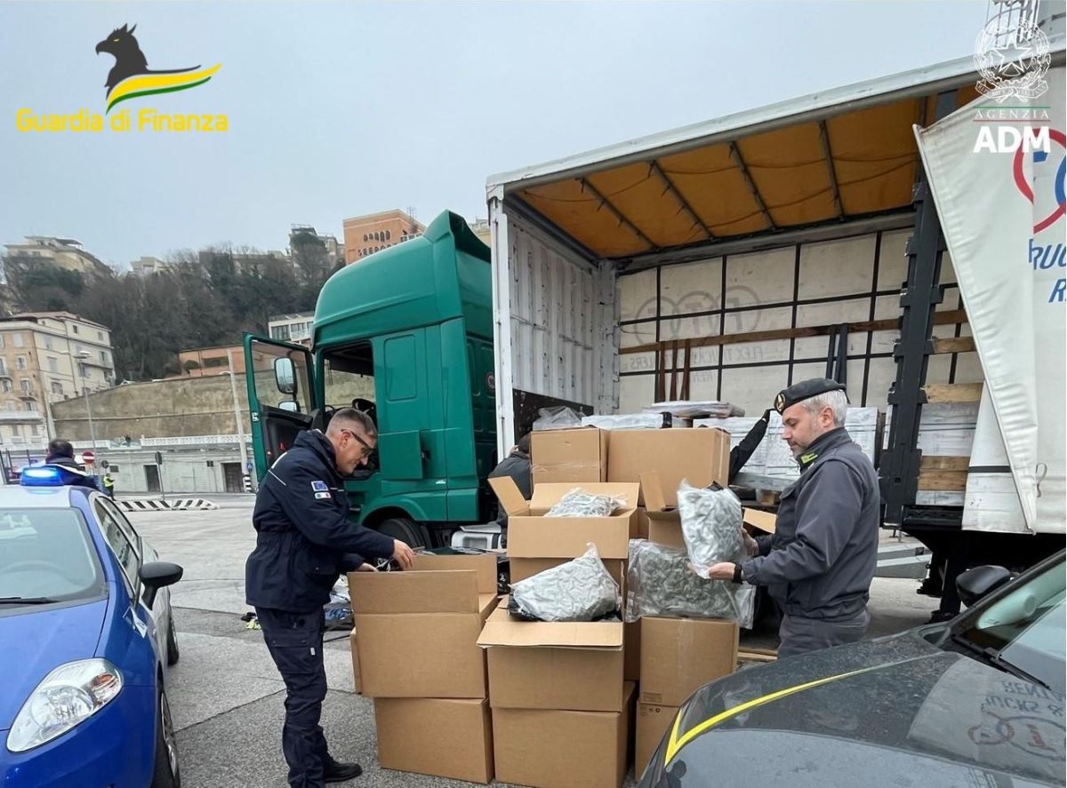 Sequestrati al porto di Ancona 163 kg di droga, un arresto Sequestrati al porto di Ancona 163 kg di droga, un arresto