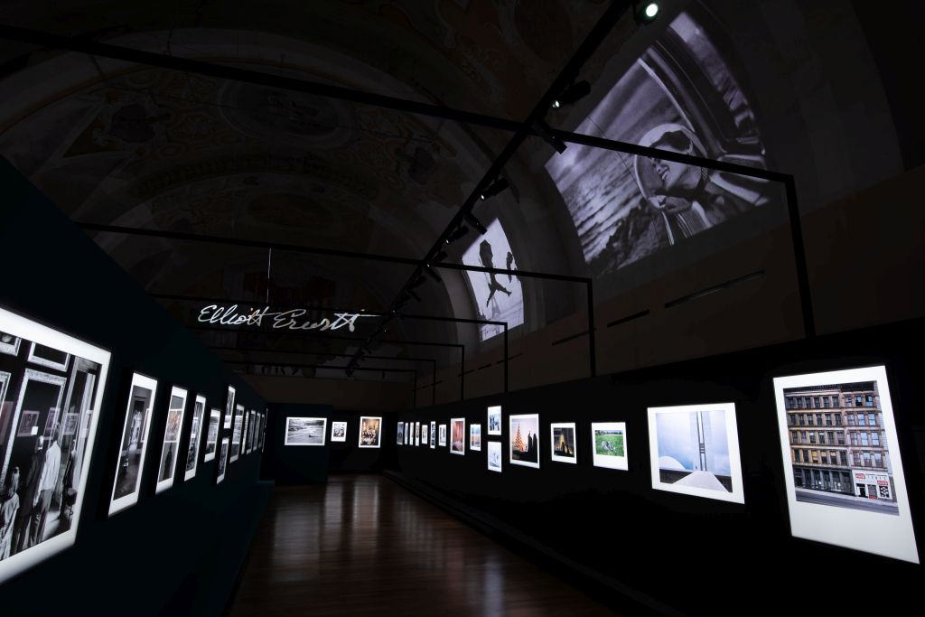 Mostre, al Palazzo Reale di Palermo gli scatti di Elliott Erwitt Mostre, al Palazzo Reale di Palermo gli scatti di Elliott Erwitt