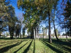 Carpi: prendersi cura della città “adottando” un’area verde