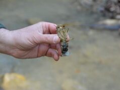 Sabato a Ciano d’Enza presentazione dei risultati del progetto “Fishing 4 Biodiversity”