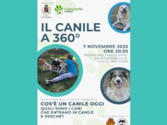 Serata informativa rivolta alla cittadinanza a cura del Comune di Castel Maggiore e il Canile il Giovanetto