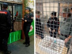 Modena Fiere, tre giorni di controlli alla grande rassegna ornitologica SOR 2025