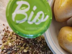 Mense biologiche, dalla Regione oltre 910mila euro per garantire pasti di qualità a scuola