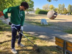 Modena: ai gruppi dei Volontari del verde un contributo integrativo di 30mila euro