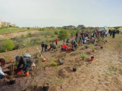 Tim pianta 400 nuovi alberi a Roma per migliorare l’ambiente urbano