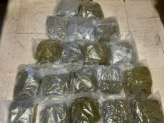 Arrestati a Bologna due trafficanti di droga con 20 kg di marijuana