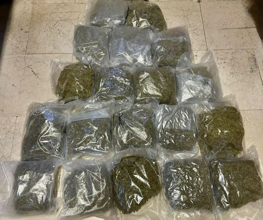 Arrestati a Bologna due trafficanti di droga con 20 kg di marijuana