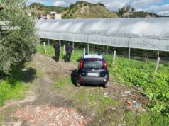 Scoperte nel reggino 35 mila metri quadrati di serre abusive in area protetta