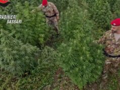 Blitz antidroga in Sardegna, 21 misure cautelari