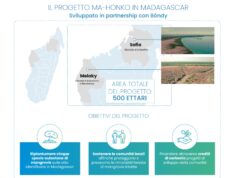 Nasce Neya, società benefit di Mundys focalizzata sulla rimozione del carbonio