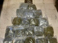 Arrestati a Bologna due presunti trafficanti di droga, sorpresi con quasi 20 chili di marijuana