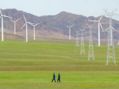 Presidente WBCSD “Cina attore chiave in transizione globale per sostenibilità”