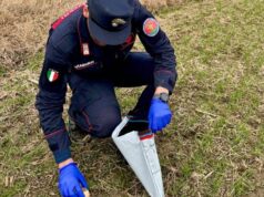 E’ allarme esche avvelenate nella provincia di Reggio Emilia