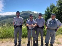 Vigilanza ambientale, il bilancio 2025 delle Guardie Ecologiche Volontarie di Formigine