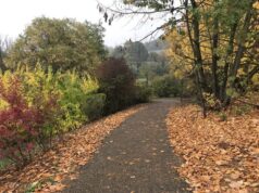 Da domani via ai lavori di manutenzione del verde verticale al parco Fola di Villa Tarabini
