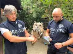 Giornata Mondiale della Fauna Selvatica, legalità e tutela dell’ambiente al centro dell’azione dei Carabinieri Forestali