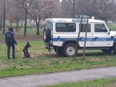 Hashish e cocaina sequestrati a Modena grazie al fiuto del cane antidroga