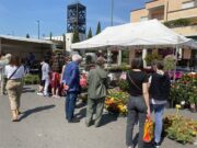 “Casalgrande in Fiore” torna in centro domenica 17 maggio