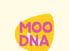 Moodna park, vietati vetro, lattine, materiale pirotecnico e gli spray al peperoncino