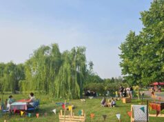 Torna il Sip & Sound Festival a Novellara