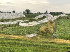 Il maltempo ha colpito in particolare la Bassa modenese